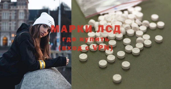ГАЛЛЮЦИНОГЕННЫЕ ГРИБЫ Няндома