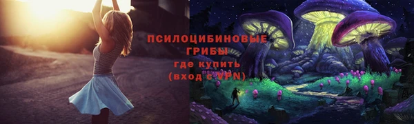 MDMA Premium VHQ Нязепетровск