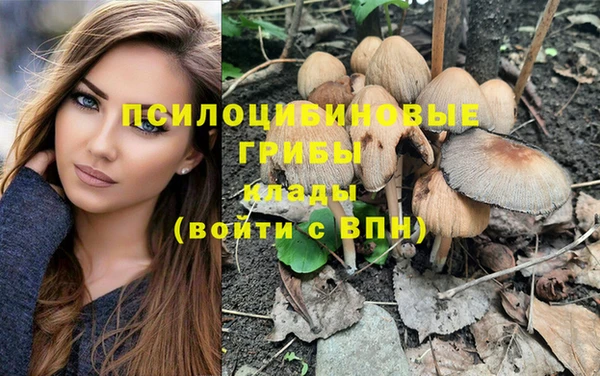 MDMA Premium VHQ Нязепетровск
