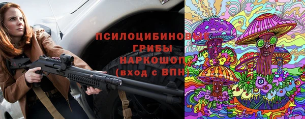 ГАЛЛЮЦИНОГЕННЫЕ ГРИБЫ Няндома