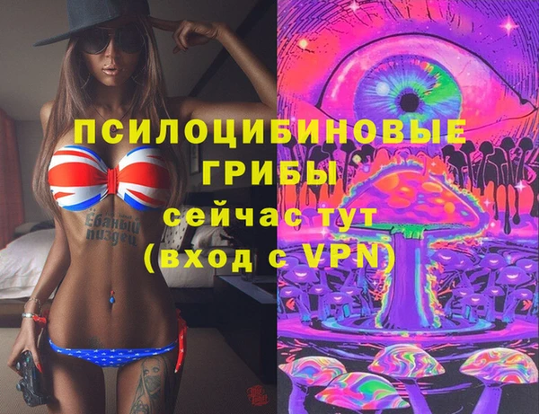 spice Видное