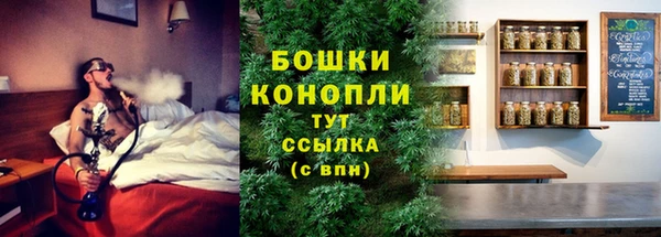ГАЛЛЮЦИНОГЕННЫЕ ГРИБЫ Няндома