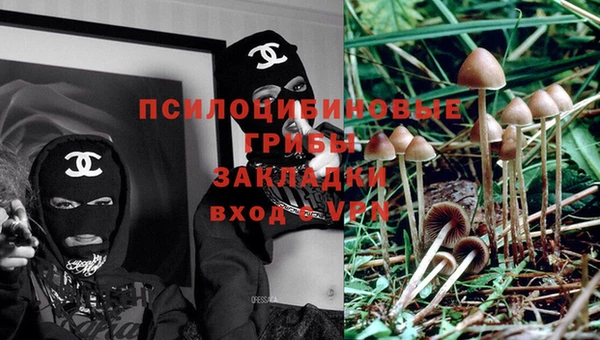 ГАЛЛЮЦИНОГЕННЫЕ ГРИБЫ Няндома