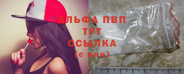 ГАЛЛЮЦИНОГЕННЫЕ ГРИБЫ Няндома