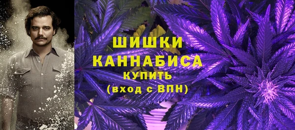 ГАЛЛЮЦИНОГЕННЫЕ ГРИБЫ Няндома